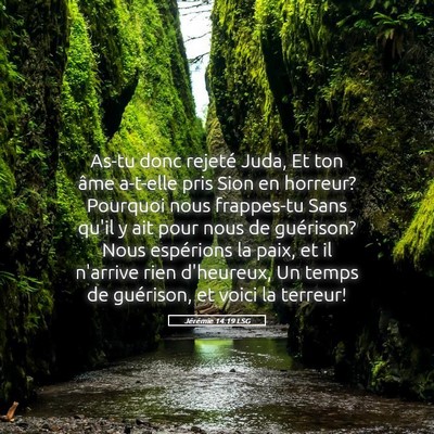 Picture 05 - Jérémie 14:19 LSG - As-tu donc rejeté Juda, Et ton âme a-t-elle - Bible Verse Picture