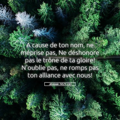 Picture 05 - Jérémie 14:21 LSG - A cause de ton nom, ne méprise pas, Ne - Bible Verse Picture