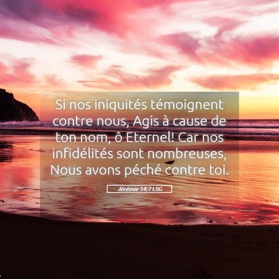 Picture 05 - Jérémie 14:7 LSG - Si nos iniquités témoignent contre nous, Agis - Bible Verse Picture