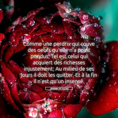 Picture 05 - Jérémie 17:11 LSG - Comme une perdrix qui couve des oeufs qu'elle n'a - Bible Verse Picture