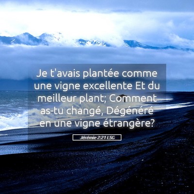 Picture 05 - Jérémie 2:21 LSG - Je t'avais plantée comme une vigne excellente Et - Bible Verse Picture