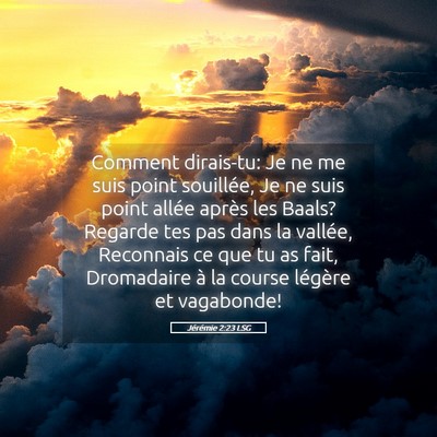 Picture 05 - Jérémie 2:23 LSG - Comment dirais-tu: Je ne me suis point souillée, - Bible Verse Picture