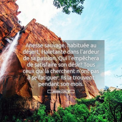 Picture 05 - Jérémie 2:24 LSG - Anesse sauvage, habituée au désert, Haletante - Bible Verse Picture