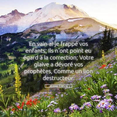 Picture 05 - Jérémie 2:30 LSG - En vain ai-je frappé vos enfants; Ils n'ont - Bible Verse Picture