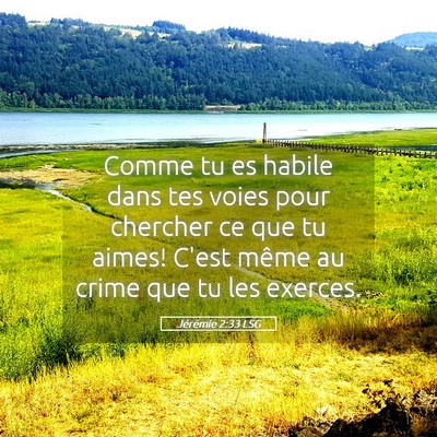 Picture 05 - Jérémie 2:33 LSG - Comme tu es habile dans tes voies pour chercher - Bible Verse Picture
