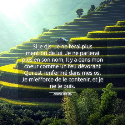 Picture 05 - Jérémie 20:9 LSG - Si je dis: Je ne ferai plus mention de lui, Je ne - Bible Verse Picture
