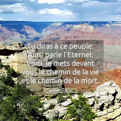 Picture 05 - Jérémie 21:8 LSG - Tu diras à ce peuple: Ainsi parle l'Eternel: - Bible Verse Picture