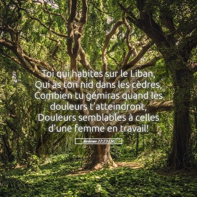 Picture 05 - Jérémie 22:23 LSG - Toi qui habites sur le Liban, Qui as ton nid dans - Bible Verse Picture