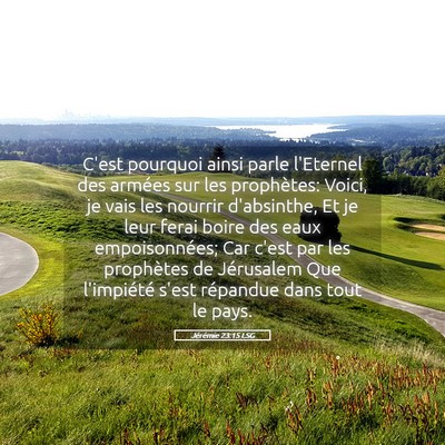 Picture 05 - Jérémie 23:15 LSG - C'est pourquoi ainsi parle l'Eternel des armées - Bible Verse Picture