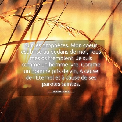 Picture 05 - Jérémie 23:9 LSG - Sur les prophètes. Mon coeur est brisé au - Bible Verse Picture
