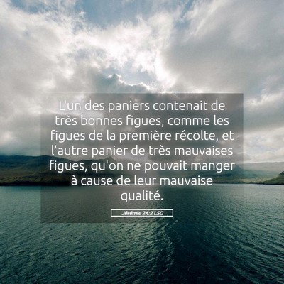 Picture 05 - Jérémie 24:2 LSG - L'un des paniers contenait de très bonnes - Bible Verse Picture