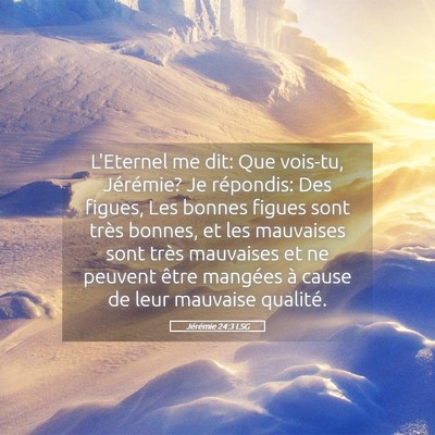 Picture 05 - Jérémie 24:3 LSG - L'Eternel me dit: Que vois-tu, Jérémie? Je - Bible Verse Picture