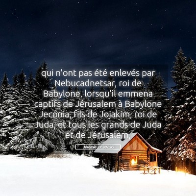 Picture 05 - Jérémie 27:20 LSG - qui n'ont pas été enlevés par Nebucadnetsar, - Bible Verse Picture