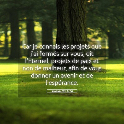 Picture 05 - Jérémie 29:11 LSG - Car je connais les projets que j'ai formés sur - Bible Verse Picture
