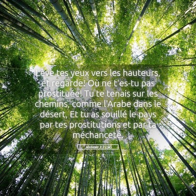 Picture 05 - Jérémie 3:2 LSG - Lève tes yeux vers les hauteurs, et regarde! Où - Bible Verse Picture