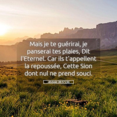 Picture 05 - Jérémie 30:17 LSG - Mais je te guérirai, je panserai tes plaies, Dit - Bible Verse Picture