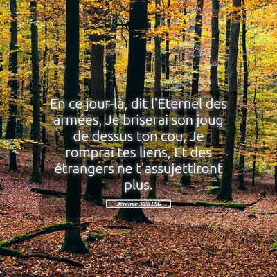 Picture 05 - Jérémie 30:8 LSG - En ce jour-là, dit l'Eternel des armées, Je - Bible Verse Picture