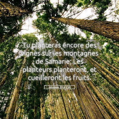 Picture 05 - Jérémie 31:5 LSG - Tu planteras encore des vignes sur les montagnes - Bible Verse Picture