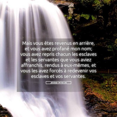 Picture 05 - Jérémie 34:16 LSG - Mais vous êtes revenus en arrière, et vous avez - Bible Verse Picture
