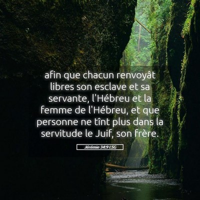 Picture 05 - Jérémie 34:9 LSG - afin que chacun renvoyât libres son esclave et - Bible Verse Picture