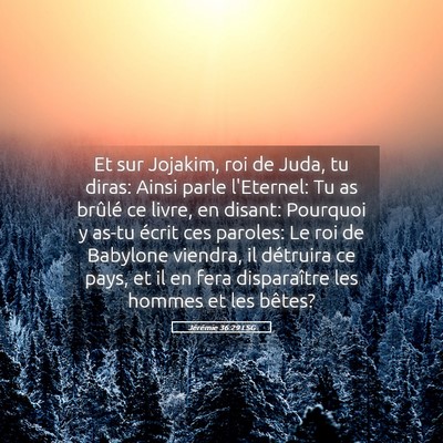 Picture 05 - Jérémie 36:29 LSG - Et sur Jojakim, roi de Juda, tu diras: Ainsi - Bible Verse Picture