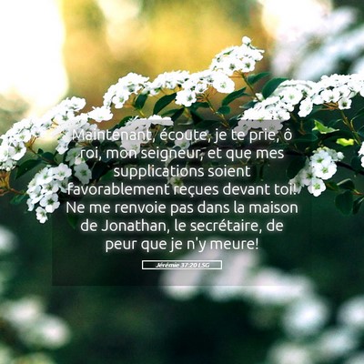 Picture 05 - Jérémie 37:20 LSG - Maintenant, écoute, je te prie, ô roi, mon - Bible Verse Picture