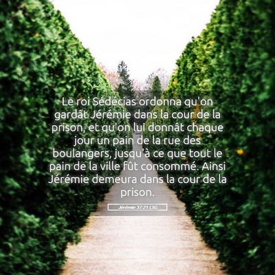 Picture 05 - Jérémie 37:21 LSG - Le roi Sédécias ordonna qu'on gardât Jérémie - Bible Verse Picture