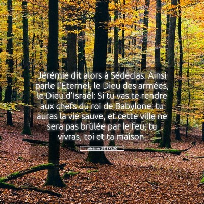 Picture 05 - Jérémie 38:17 LSG - Jérémie dit alors à Sédécias: Ainsi parle - Bible Verse Picture