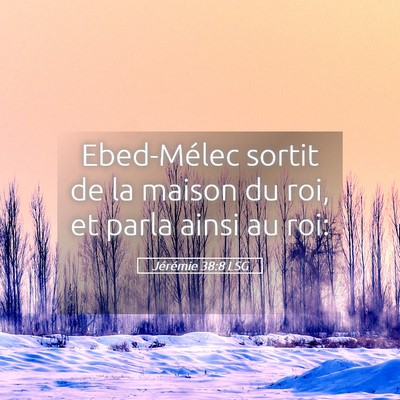 Picture 05 - Jérémie 38:8 LSG - Ebed-Mélec sortit de la maison du roi, et parla - Bible Verse Picture