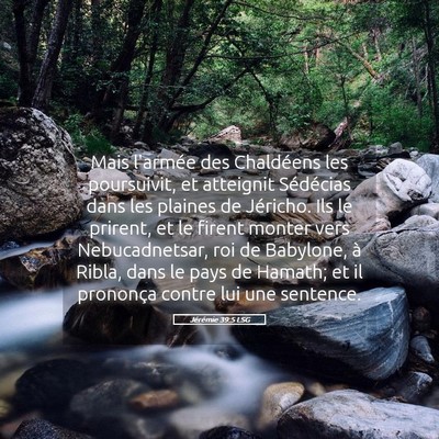 Picture 05 - Jérémie 39:5 LSG - Mais l'armée des Chaldéens les poursuivit, et - Bible Verse Picture