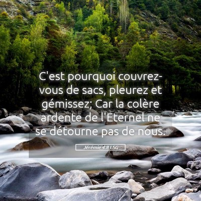 Picture 05 - Jérémie 4:8 LSG - C'est pourquoi couvrez-vous de sacs, pleurez et - Bible Verse Picture