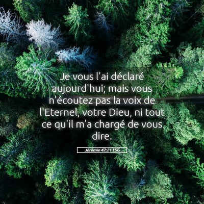 Picture 05 - Jérémie 42:21 LSG - Je vous l'ai déclaré aujourd'hui; mais vous - Bible Verse Picture