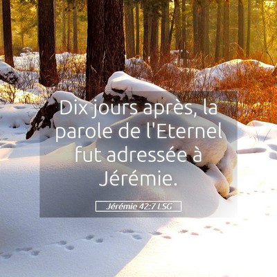 Picture 05 - Jérémie 42:7 LSG - Dix jours après, la parole de l'Eternel fut - Bible Verse Picture