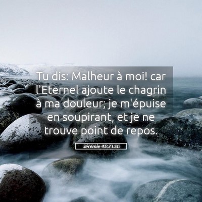 Picture 05 - Jérémie 45:3 LSG - Tu dis: Malheur à moi! car l'Eternel ajoute le - Bible Verse Picture
