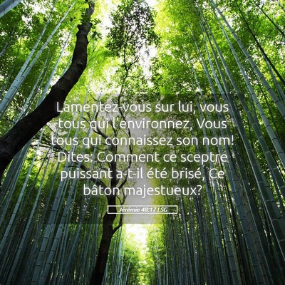 Picture 05 - Jérémie 48:17 LSG - Lamentez-vous sur lui, vous tous qui - Bible Verse Picture