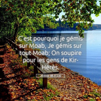 Picture 05 - Jérémie 48:31 LSG - C'est pourquoi je gémis sur Moab, Je gémis sur - Bible Verse Picture