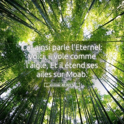 Picture 05 - Jérémie 48:40 LSG - Car ainsi parle l'Eternel: Voici, il vole comme - Bible Verse Picture