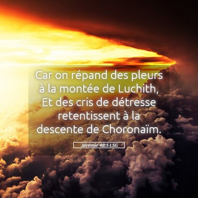 Picture 05 - Jérémie 48:5 LSG - Car on répand des pleurs à la montée de - Bible Verse Picture