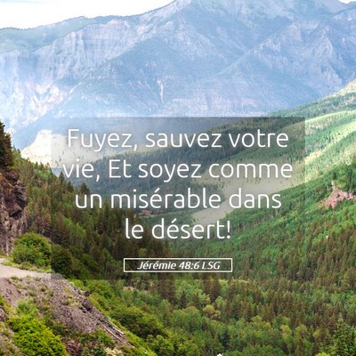 Picture 05 - Jérémie 48:6 LSG - Fuyez, sauvez votre vie, Et soyez comme un - Bible Verse Picture