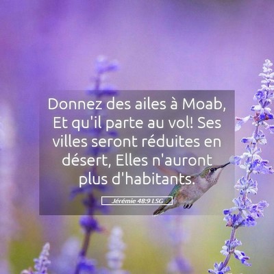 Picture 05 - Jérémie 48:9 LSG - Donnez des ailes à Moab, Et qu'il parte au vol! - Bible Verse Picture