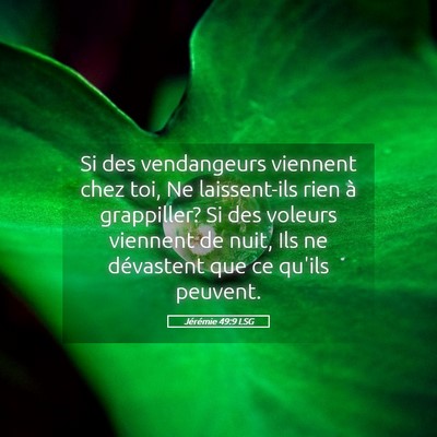 Picture 05 - Jérémie 49:9 LSG - Si des vendangeurs viennent chez toi, Ne - Bible Verse Picture