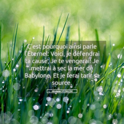 Picture 05 - Jérémie 51:36 LSG - C'est pourquoi ainsi parle l'Eternel: Voici, je - Bible Verse Picture
