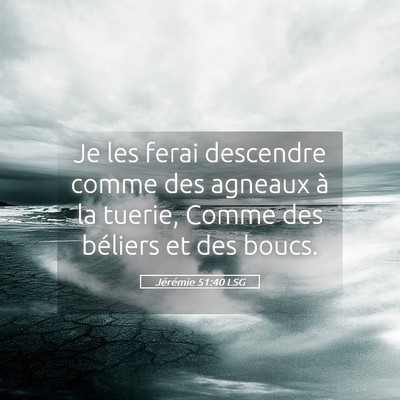 Picture 05 - Jérémie 51:40 LSG - Je les ferai descendre comme des agneaux à la - Bible Verse Picture