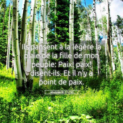 Picture 05 - Jérémie 8:11 LSG - Ils pansent à la légère la plaie de la fille - Bible Verse Picture