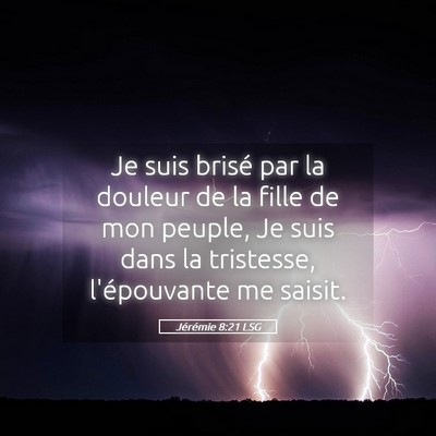 Picture 05 - Jérémie 8:21 LSG - Je suis brisé par la douleur de la fille de mon - Bible Verse Picture