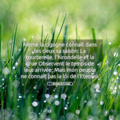Picture 05 - Jérémie 8:7 LSG - Même la cigogne connaît dans les cieux sa - Bible Verse Picture