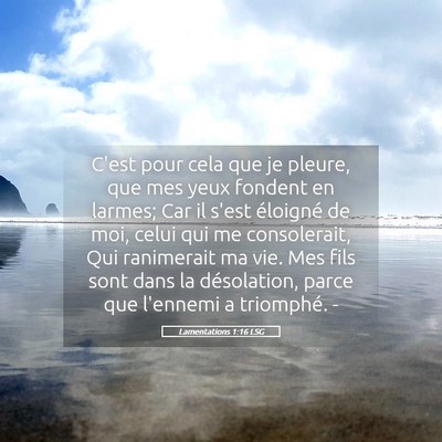 Picture 05 - Lamentations 1:16 LSG - C'est pour cela que je pleure, que mes yeux - Bible Verse Picture