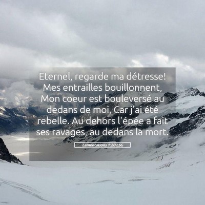Picture 05 - Lamentations 1:20 LSG - Eternel, regarde ma détresse! Mes entrailles - Bible Verse Picture