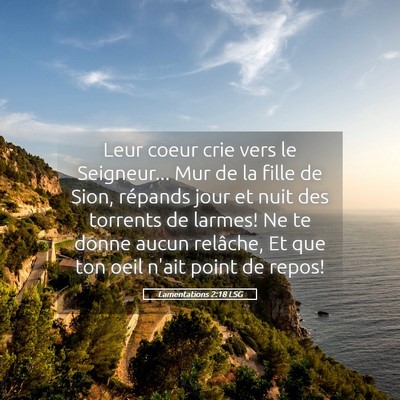 Picture 05 - Lamentations 2:18 LSG - Leur coeur crie vers le Seigneur... Mur de la - Bible Verse Picture