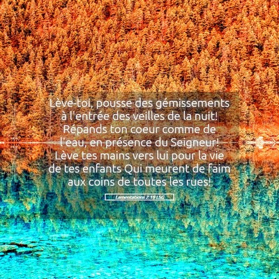 Picture 05 - Lamentations 2:19 LSG - Lève-toi, pousse des gémissements à l'entrée - Bible Verse Picture